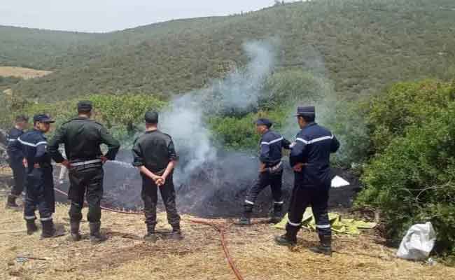 الإطاحة بشخص تورط في حرق الغابة بعنابة