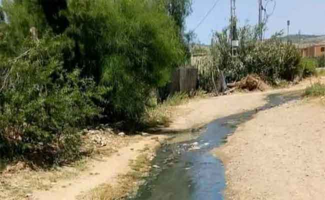 مواطنون يدقون ناقوس خطر كارثة بيئية بحي القواسمية بالشلف