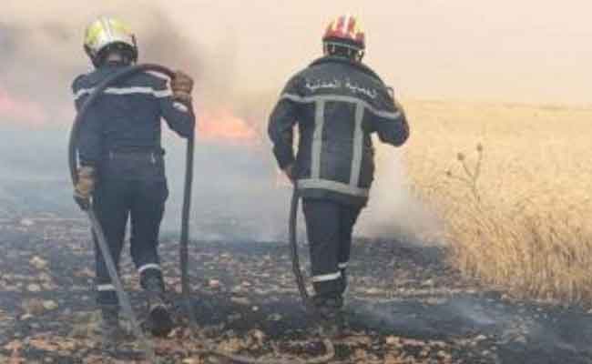 النيران تلتهم حقلا للحبوب بمزرعة بتيارات