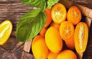 هل تعرفون ما هي الفوائد التي يقدّمها لكم البرتقال الملكي؟