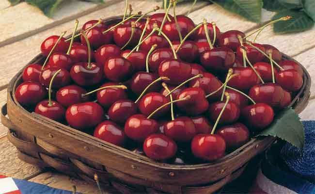 هل الكرز من الأطعمة الصحيّة لمرضى السكري؟