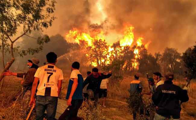 النيران تلتهم هكتارات من غابة الرمكة بغليزان