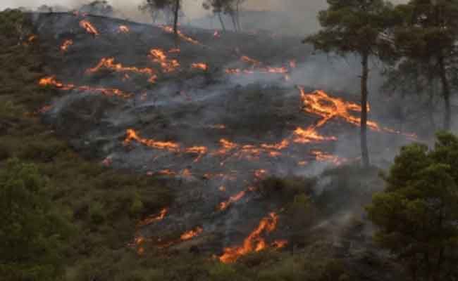 إعراب أحزاب سياسية عن تضامنها مع ضحايا حرائق الغابات وتثمن مجهودات الدولة