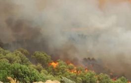 حرائق الغابات تخلف 26 قتيلا و رئيس الجمهورية يعزي عائلات الضحايا
