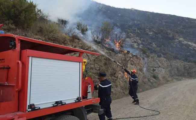 عشرة حرائق تضرب ولايات شمال البلاد وجهود الإخماد متواصلة