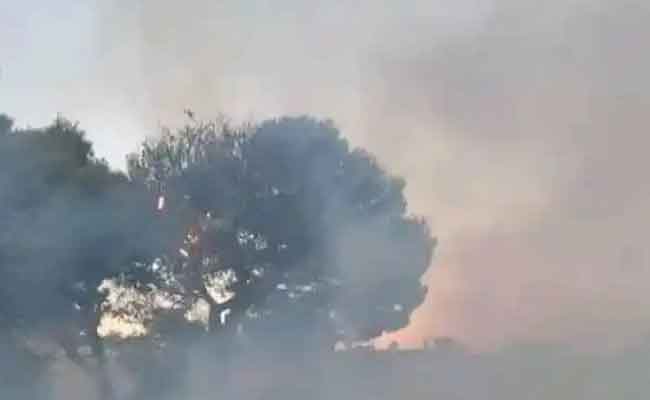 نشوب حريق بغابة الرياشة بالشلف