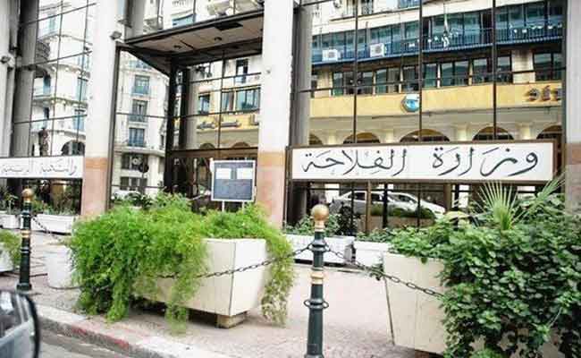 تعويض الفلاحين المتضررين من الحرائق “مطلع سبتمبر المقبل”