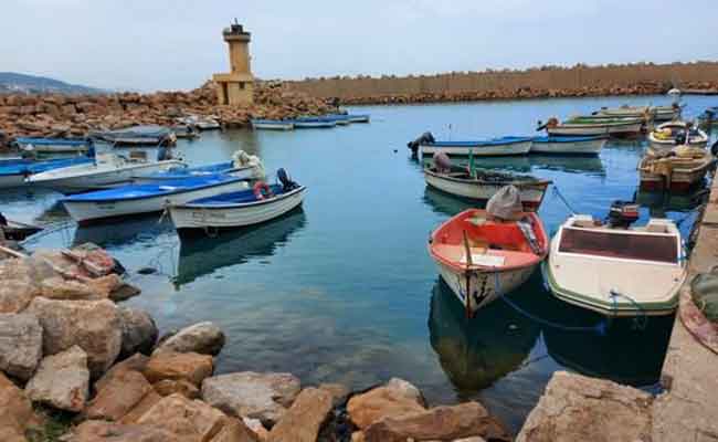 صلواتشي يعطي تعليماته لإسراع عملية إزالة حطام السفن لزيادة الطاقة الاستيعابية