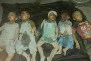 أطفال فلسطين بضاعة مطلوبة لأنه عندما قتل مئات ألاف من أطفال سوريا لم نشم الرائحة النتنة لفم حفيظ دراجي