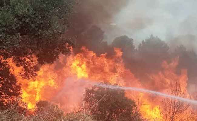 الحماية المدنية تخمد حريقا نشب بغابات بني شبانة بسطيف