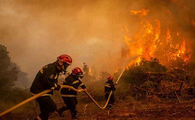 جميع المتضررين من حرائق الغابات بقالمة استفادوا من التعويضات