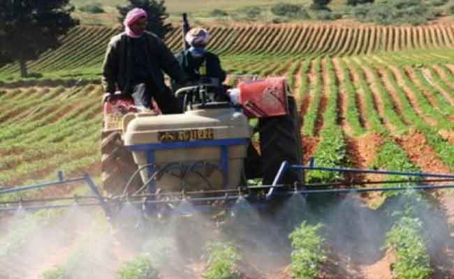 يوم 30 سبتمبر الجاي هو آخر آجال لتسديد الاشتراكات السنوية للفلاحين بالضمان الاجتماعي