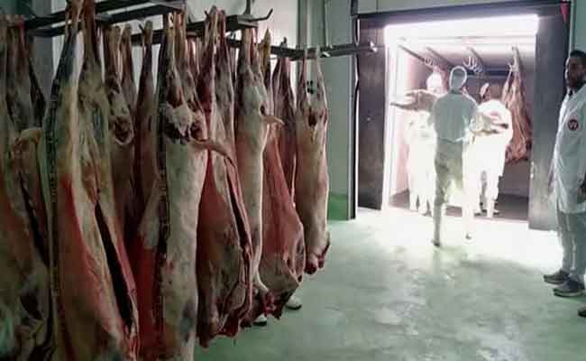 توجيه 1.800 طن من اللحوم الحمراء من تمنراست لتموين شمال الوطن ما بين 2021 و2022