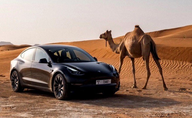 تسلا تختبر متانة وتحمل سياراتها الكهربائية في صحراء دبي...