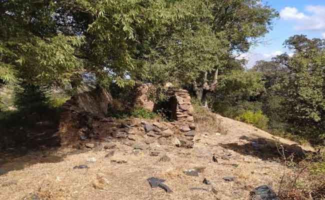 اكتشاف قبور طولها يزيد عن ثلاثة أمتار بالبليدة