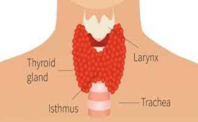 ما هي أبرز الأعراض التي تصاحب اضطرابات الغدة الدرقية؟