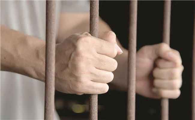 الحكم بـ 12 و 10 سنوات سجنا نافذا في حق شخصين تورطا في المضارية في الزيت والحليب