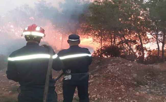 الحماية المدنية تواصل جهودها لإخماد حرائق جبال الروايشة وتيزي بالشلف