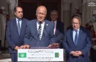 أبو الغيط يؤكد أن القمة العربية بالجزائر 