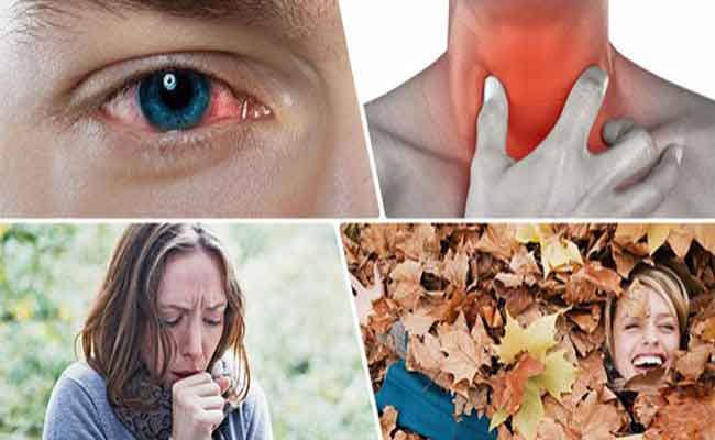 بينها الانفلونزا ونزلات البرد…أمراض تتفاقم في فصل الخريف
