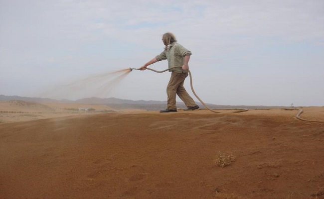ابتكار مادة تحول رمال الصحراء إلى تربة خصبة في 7 ساعات...
