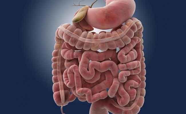 4 خطوات بسيطة اعتمدوها للحفاظ على صحّة أمعائكم!