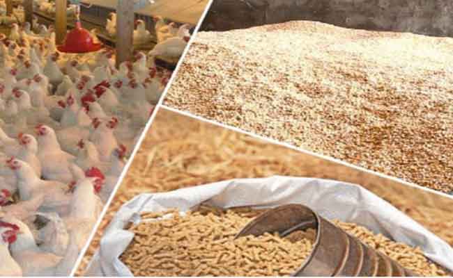 الإطاحة بـ4 أشخاص تورطوا في سرقة 6 قناطير من أعلاف الماشية والدواجن بالبيض