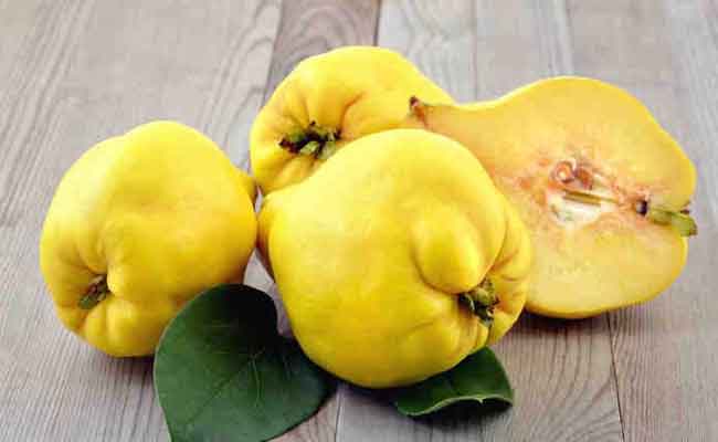 لماذا يجب أن تضيفوا السفرجل الى نظامكم الغذائي؟