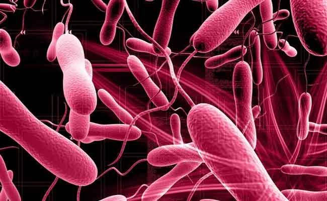 في حال أُصبتم بعدوى كوليرا…ما هو العلاج الأنسب لكم في المنزل؟