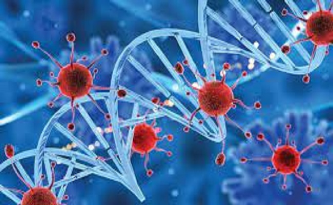 علماء يستخدمون تقنية تعديل الجينات لمحاربة الخلايا السرطانية...