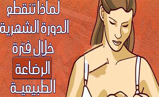 لماذا تنقطع الدورة الشهرية خلال فترة الرضاعة الطبيعية؟