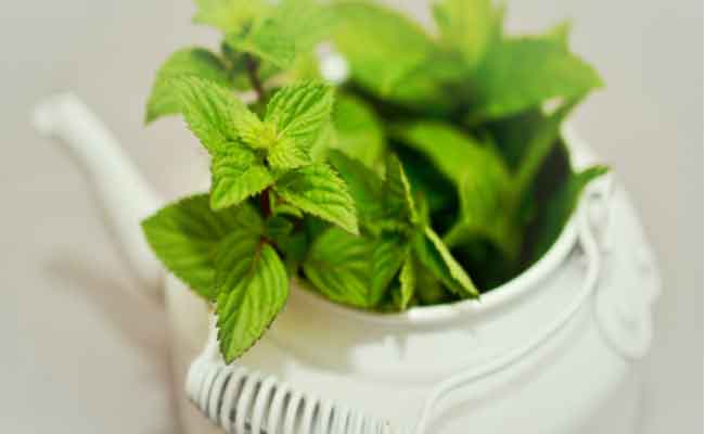 فوائد شاي النعناع كثيرة ستجعلكم تضيفونه الى يومياتكم