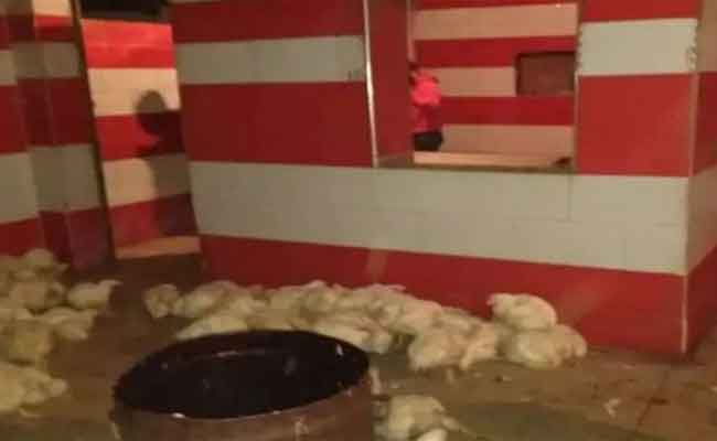 حجز أكثر من 12 قنطارا من الدجاج بمذبح سري ببوخليفة ببجاية