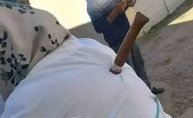 توقيف التلميذ الذي طعن أستاذة بخنجر في ظهرها ببلدية تاكسلانت بباتنة