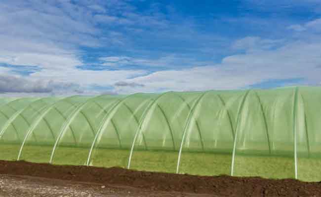 مصرع شاب داخل بيت بلاستيكي بتيبازة