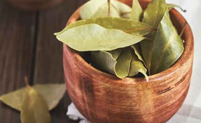 ورق الغار من الأعشاب المذهلة التي تساعد على خسارة الوزن!