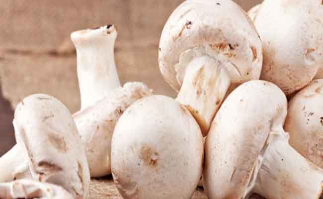 لن تصدقي فوائد الفطر الصحية