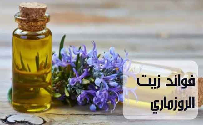 روزماري للشعر…اكتشفي فوائده الجمالية وطرق استخدامه