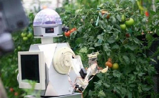 تطوير روبوتات لقطف الفاكهة ونقلها ذاتياً...