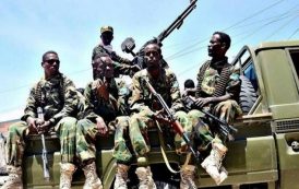 الصومال يطوّق الإرهاب