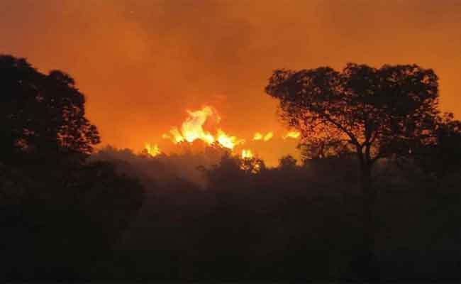 نشوب حريق في غابة بالتنس في الشلف