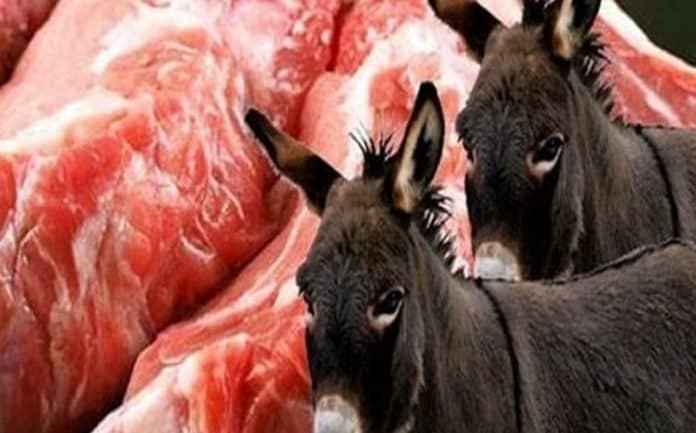 موائد الجزائريين في رمضان تتزين بلحوم الحمير والكلاب ومياه المجاري تحت شعار يحيا شنقريحة وتبون