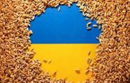 هل يصبح القمح الأوكراني لعنة على أوروبا