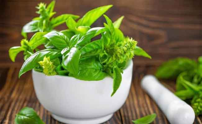 أعشاب طبيعية تساعد على خفض ضغط الدم المرتفع