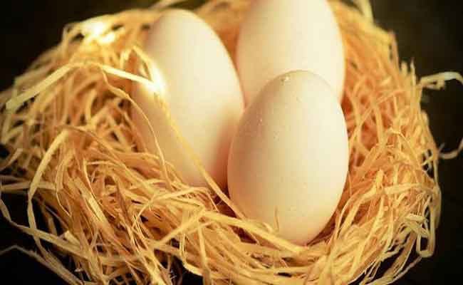 فوائد بيض الحمام لا تقدر بثمن…غني جداً بالحديد والبروتينات