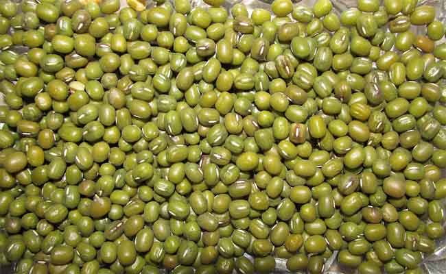 فوائد الهريس للرجيم…رائع للعروس الباحثة عن خسارة الوزن