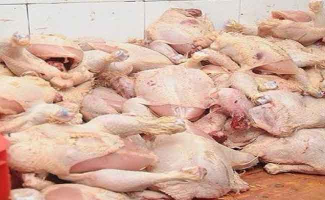 حجز أزيد من 5 قناطير دجاج غير صالح للاستهلاك بقالمة 