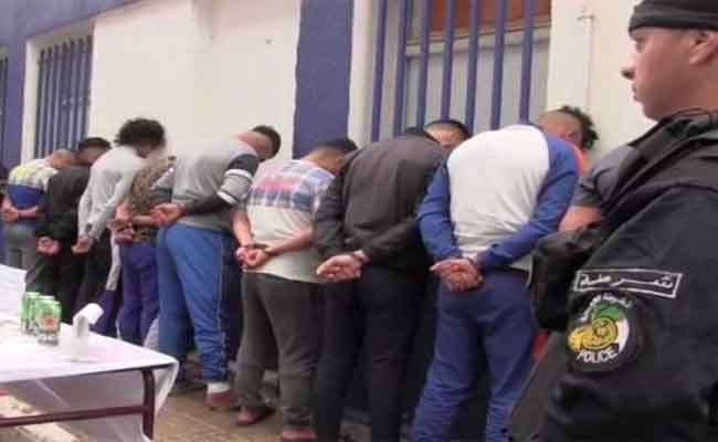 الإطاحة بعصابة أحياء مدججة بالأسلحة والكلاب المفترسة بعين تموشنت