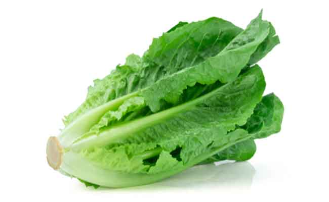 ماء الخس للبشرة…فوائد لا تحصى