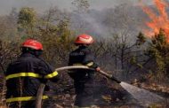 الحماية المدنية تجند 19 ألف عون لمكافحة حرائق الغابات خلال الصائفة